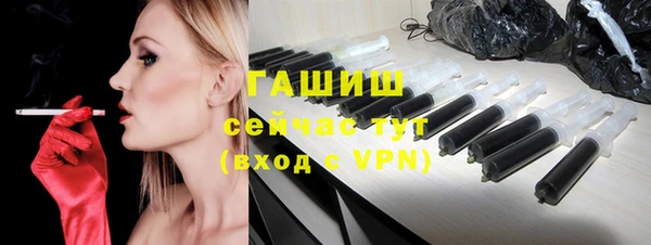 гашик Козловка