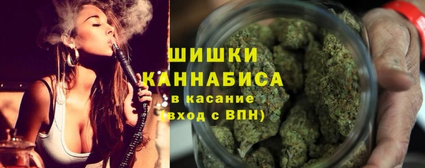 гашик Козловка