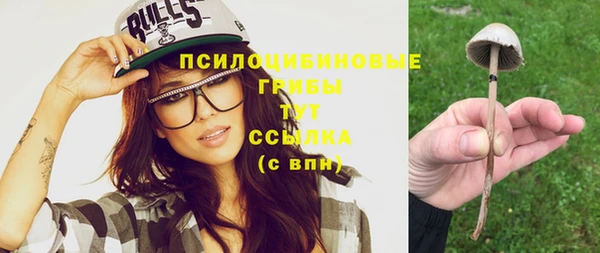 спиды Коряжма